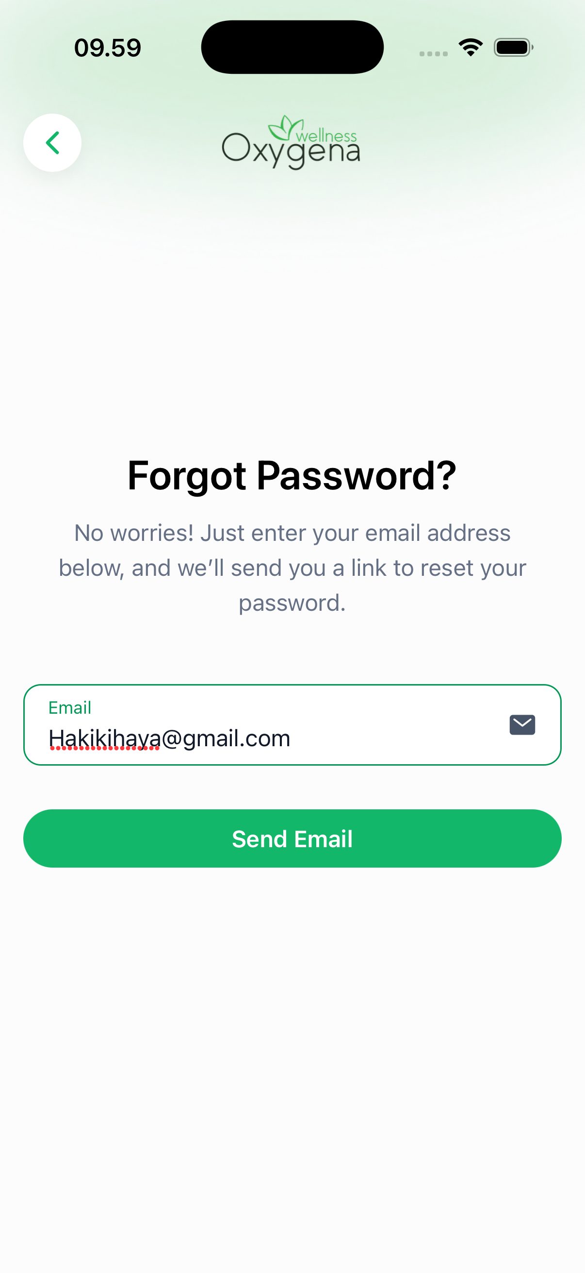 Forgot Password Email Input